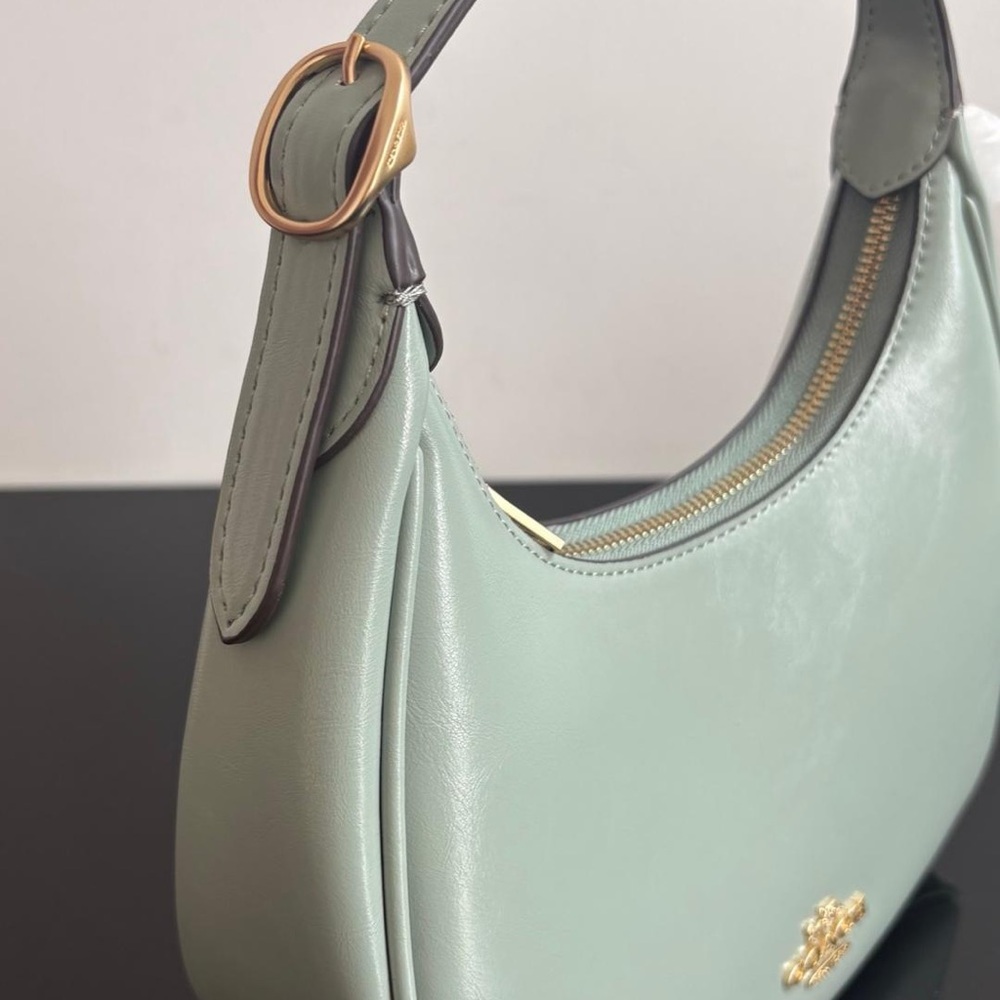 Coach Mint Green Leather Crescent Hobo Bag with Gold Hardware - Picture 5 of 9